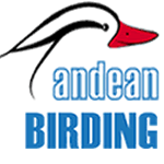 Andean Birding