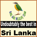 Bird and Wildlife team Sri-Lanka