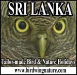 Birdwing Nature Sri-Lanka