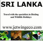 Jetwing Sri Lanka