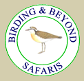 Bird and Beyond Safaris