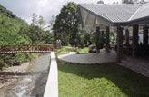 Canopy Lodge