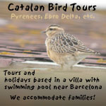 catalan Bird Tours