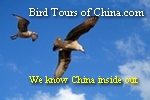 Bird Tours of China