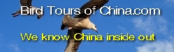 Bird Tours of China