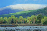 Glen Feshie