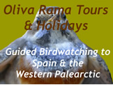 Oliva Rama tours