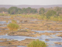 The River Oliphants
