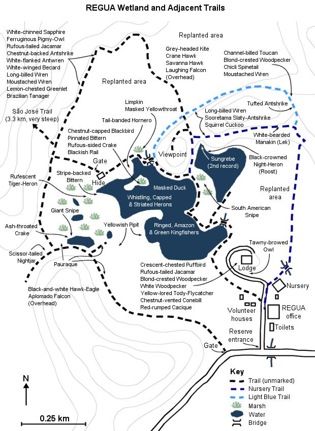 Map of the lodge/REGUA wetland