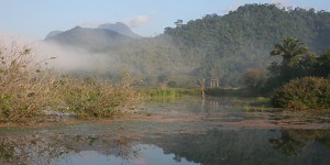 The lodge wetland by Lee Dingain