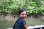 Mangroves in Krabi