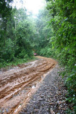 The "Road" to Doi Chiang Dao